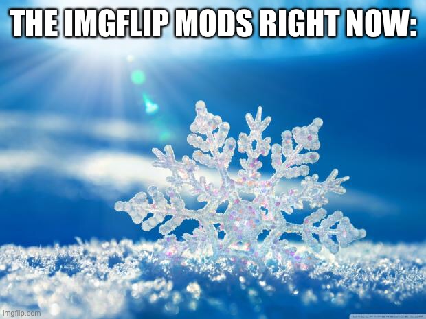 snowflake | THE IMGFLIP MODS RIGHT NOW: | image tagged in snowflake | made w/ Imgflip meme maker