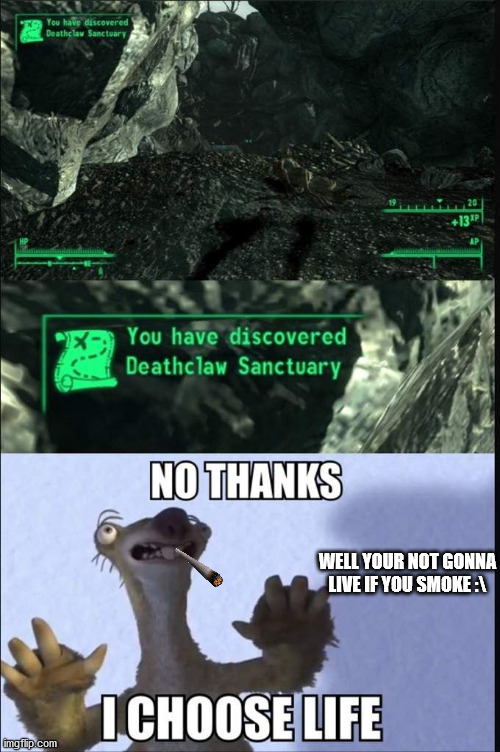 when you enter fallout and you wander around: | WELL YOUR NOT GONNA LIVE IF YOU SMOKE :\ | image tagged in funny | made w/ Imgflip meme maker
