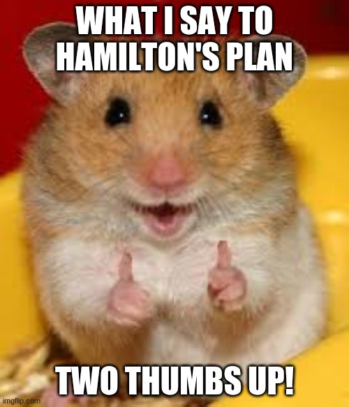 WHAT I SAY TO HAMILTON'S PLAN; TWO THUMBS UP! | WHAT I SAY TO HAMILTON'S PLAN; TWO THUMBS UP! | image tagged in thumbs up hamster | made w/ Imgflip meme maker
