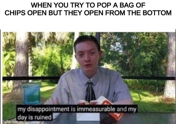 My dissapointment is immeasurable and my day is ruined | WHEN YOU TRY TO POP A BAG OF CHIPS OPEN BUT THEY OPEN FROM THE BOTTOM | image tagged in my dissapointment is immeasurable and my day is ruined,school,chips,lucnhtime | made w/ Imgflip meme maker