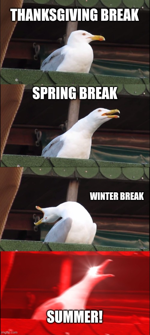 Inhaling Seagull | THANKSGIVING BREAK; SPRING BREAK; WINTER BREAK; SUMMER! | image tagged in memes,inhaling seagull | made w/ Imgflip meme maker