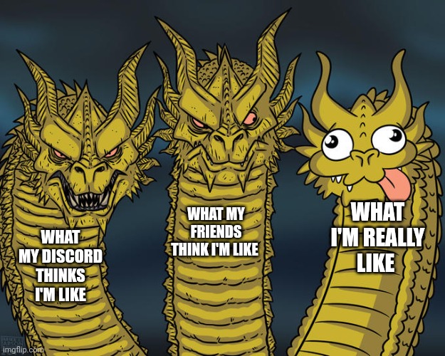 Three-headed Dragon | WHAT I'M REALLY LIKE; WHAT MY FRIENDS THINK I'M LIKE; WHAT MY DISCORD THINKS I'M LIKE | image tagged in three-headed dragon | made w/ Imgflip meme maker