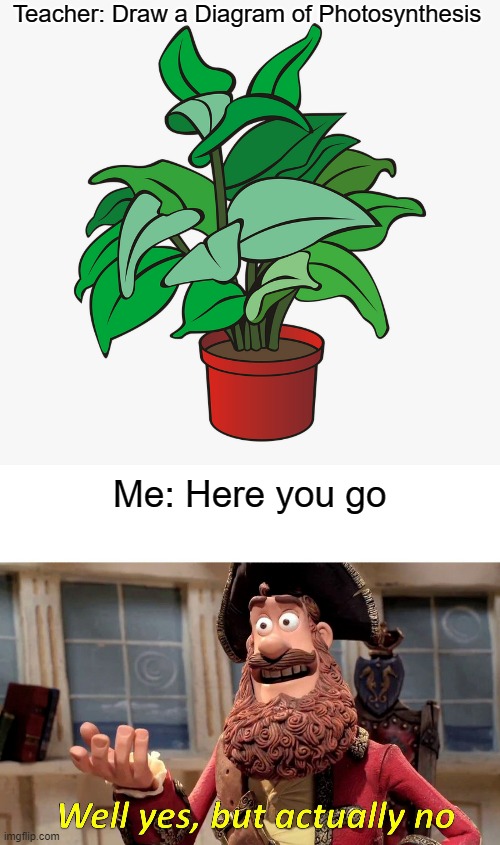 Teacher: Draw a Diagram of Photosynthesis; Me: Here you go | image tagged in memes,well yes but actually no,plant,biology,school,school meme | made w/ Imgflip meme maker