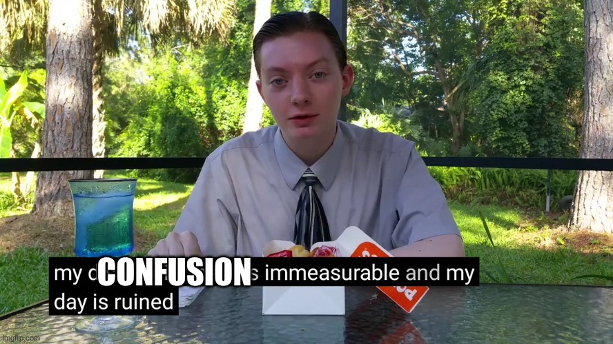 My Disappointment Is Immeasurable | CONFUSION | image tagged in my disappointment is immeasurable | made w/ Imgflip meme maker