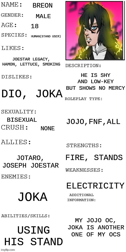 my GOOD jojo oc | image tagged in jojo,oc,rp | made w/ Imgflip meme maker