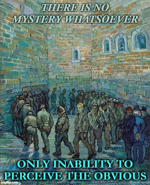 No Mystery | THERE IS NO MYSTERY WHATSOEVER; ONLY INABILITY TO PERCEIVE THE OBVIOUS | image tagged in wei wu wei,van gogh,vincent van gogh,obvious | made w/ Imgflip meme maker