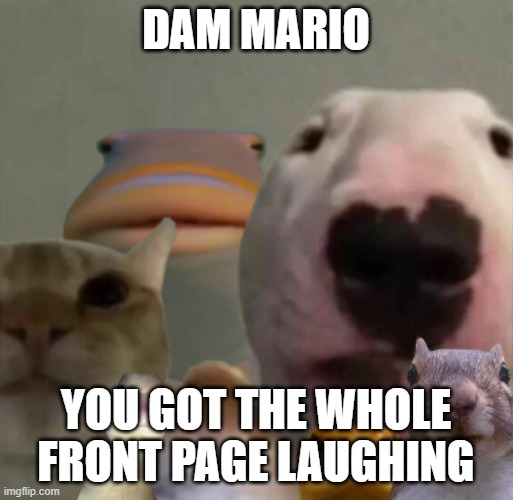 The council remastered | DAM MARIO YOU GOT THE WHOLE FRONT PAGE LAUGHING | image tagged in the council remastered | made w/ Imgflip meme maker