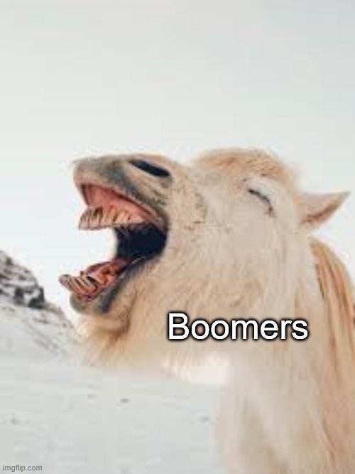 Laughin' Laama | Boomers | image tagged in laughin' laama | made w/ Imgflip meme maker