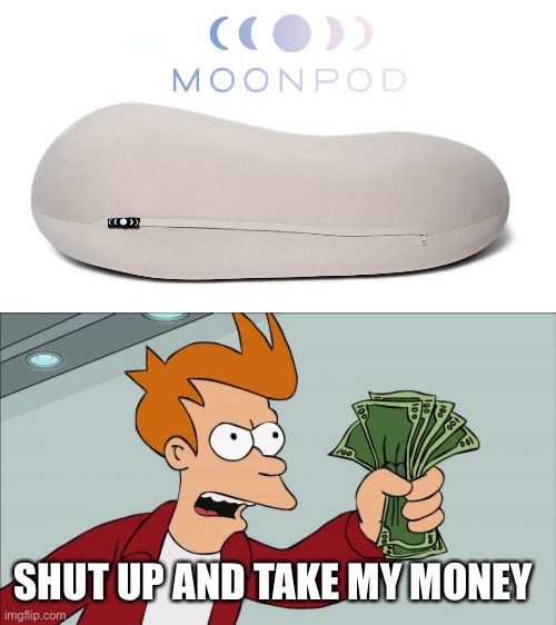 pov: moonpod | SHUT UP AND TAKE MY MONEY | image tagged in memes,shut up and take my money fry | made w/ Imgflip meme maker