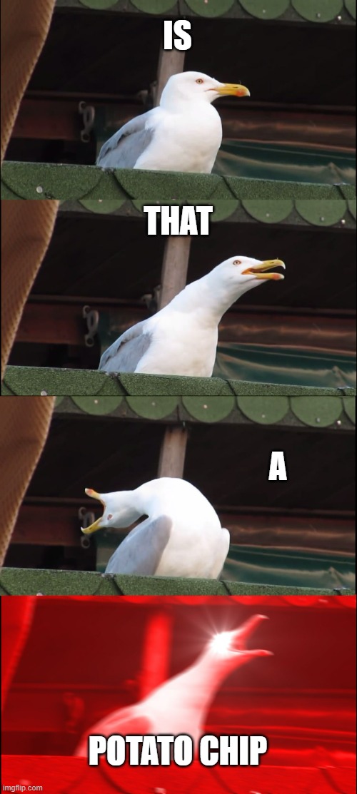 Inhaling Seagull Meme | IS; THAT; A; POTATO CHIP | image tagged in memes,inhaling seagull | made w/ Imgflip meme maker