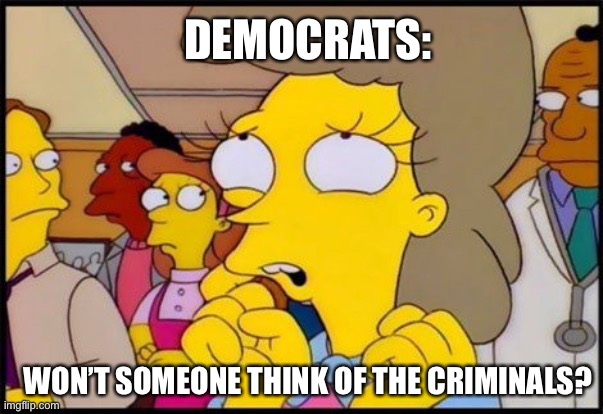 Maud flanders | DEMOCRATS:; WON’T SOMEONE THINK OF THE CRIMINALS? | image tagged in maud flanders | made w/ Imgflip meme maker