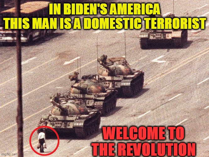Bidens America |  IN BIDEN'S AMERICA
THIS MAN IS A DOMESTIC TERRORIST; WELCOME TO THE REVOLUTION | image tagged in tankman,biden regime,domestic terrorist,china joe,totalitarianism,china connections | made w/ Imgflip meme maker