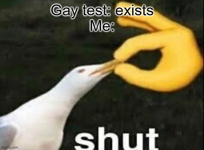 See it everywhere and it very annoying | Gay test: exists
Me: | image tagged in shut,gay | made w/ Imgflip meme maker