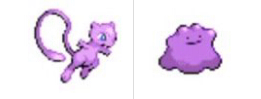 High Quality Mew & Ditto Blank Meme Template