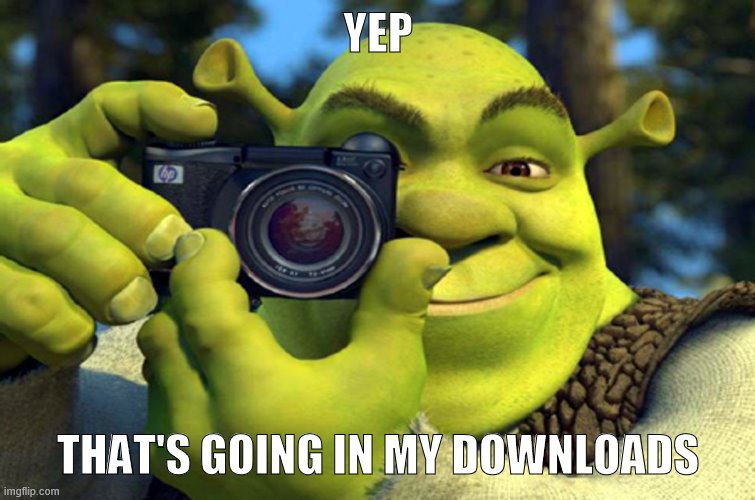 shrek camera | YEP THAT'S GOING IN MY DOWNLOADS | image tagged in shrek camera | made w/ Imgflip meme maker