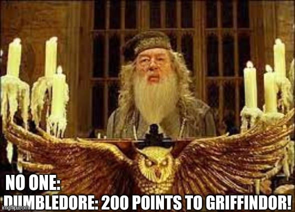 Dumbledore is biased, but still awesome!! | NO ONE:; DUMBLEDORE: 200 POINTS TO GRIFFINDOR! | image tagged in dumbledore,harry potter,griffindor | made w/ Imgflip meme maker