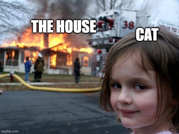 Helppppppp fire! | THE HOUSE; CAT | image tagged in memes,disaster girl | made w/ Imgflip meme maker
