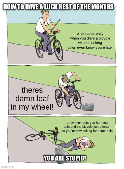 Studd bicycle |  HOW TO HAVE A LUCK REST OF THE MONTHS; when apparently when you drive a bicycle without looking down even know youre late, theres damn leaf in my wheel! a few moments you hurt your pain and the bicycle just overturn so you´re now asking for some help. YOU ARE STUPID! | image tagged in memes,bike fall | made w/ Imgflip meme maker