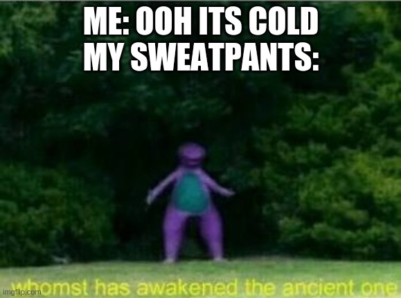he's not wrong | ME: OOH ITS COLD
MY SWEATPANTS: | image tagged in whomst has awakened the ancient one,no no he's got a point | made w/ Imgflip meme maker