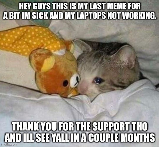 Crying cat | HEY GUYS THIS IS MY LAST MEME FOR A BIT IM SICK AND MY LAPTOPS NOT WORKING. THANK YOU FOR THE SUPPORT THO AND ILL SEE YALL IN A COUPLE MONTHS | image tagged in crying cat | made w/ Imgflip meme maker