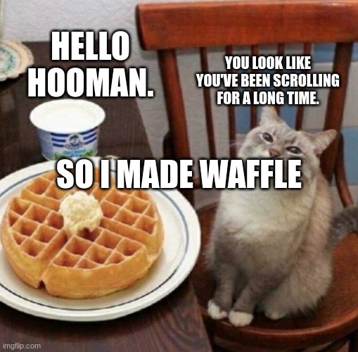 UwU |  HELLO HOOMAN. YOU LOOK LIKE YOU'VE BEEN SCROLLING FOR A LONG TIME. SO I MADE WAFFLE | image tagged in cat likes their waffle,wholesome,fun,memes,stop reading the tags | made w/ Imgflip meme maker