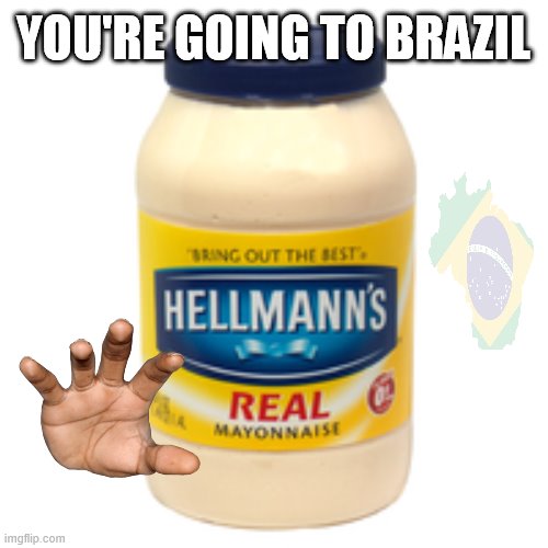 mayonnaise | YOU'RE GOING TO BRAZIL | image tagged in mayonnaise | made w/ Imgflip meme maker