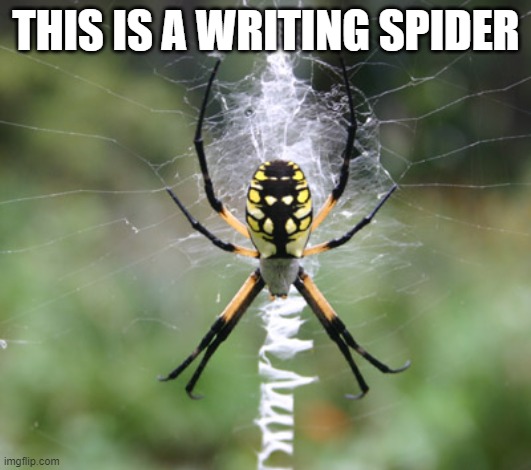 THIS IS A WRITING SPIDER | made w/ Imgflip meme maker