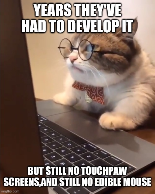 research cat |  YEARS THEY'VE HAD TO DEVELOP IT; BUT STILL NO TOUCHPAW SCREENS,AND STILL NO EDIBLE MOUSE | image tagged in research cat | made w/ Imgflip meme maker