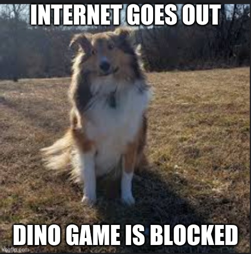Bruh dog | INTERNET GOES OUT; DINO GAME IS BLOCKED | image tagged in bruh dog | made w/ Imgflip meme maker