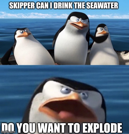 Hey Skipper 