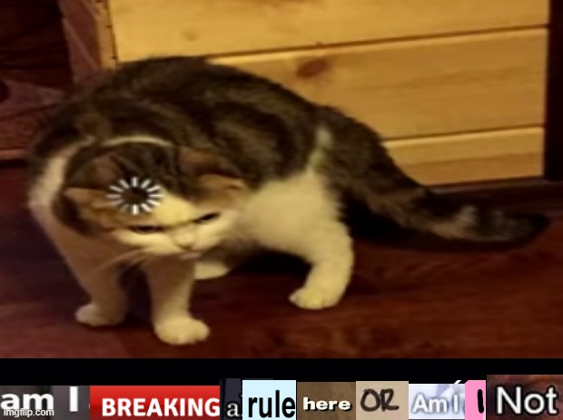 context: im on Imgflip during the time i should be working on homework, but my dad isn't noticing me on Imgflip lol | image tagged in am i breaking a rule here or am i not | made w/ Imgflip meme maker