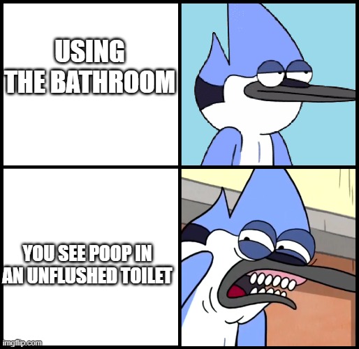 Gotta go to da bathroom | USING THE BATHROOM; YOU SEE POOP IN AN UNFLUSHED TOILET | image tagged in mordecai disgusted | made w/ Imgflip meme maker