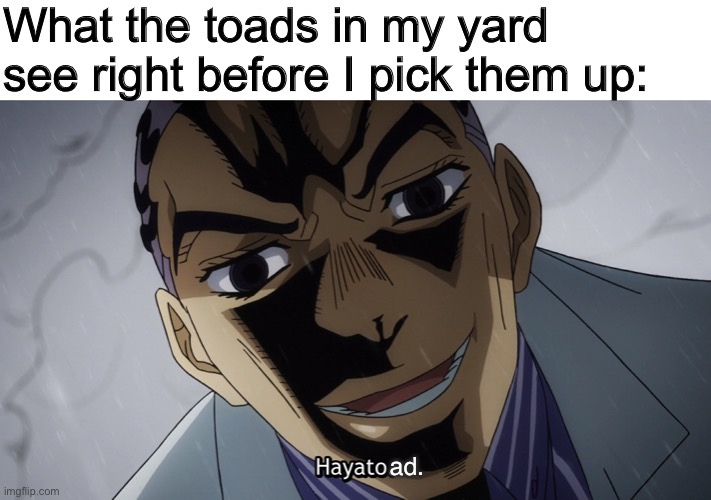 Those toads will be my friends whether they want to or not |  What the toads in my yard see right before I pick them up:; ad. | image tagged in jojo's bizarre adventure,jojo,toad,jjba | made w/ Imgflip meme maker