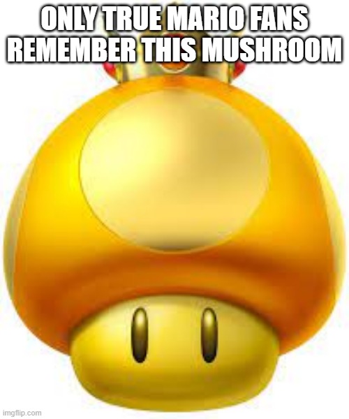 ONLY TRUE MARIO FANS REMEMBER THIS MUSHROOM | image tagged in super mario | made w/ Imgflip meme maker