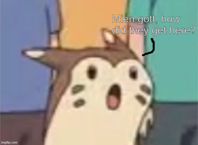 Surprised Furret | Mien gott, how did they get here? | image tagged in surprised furret | made w/ Imgflip meme maker