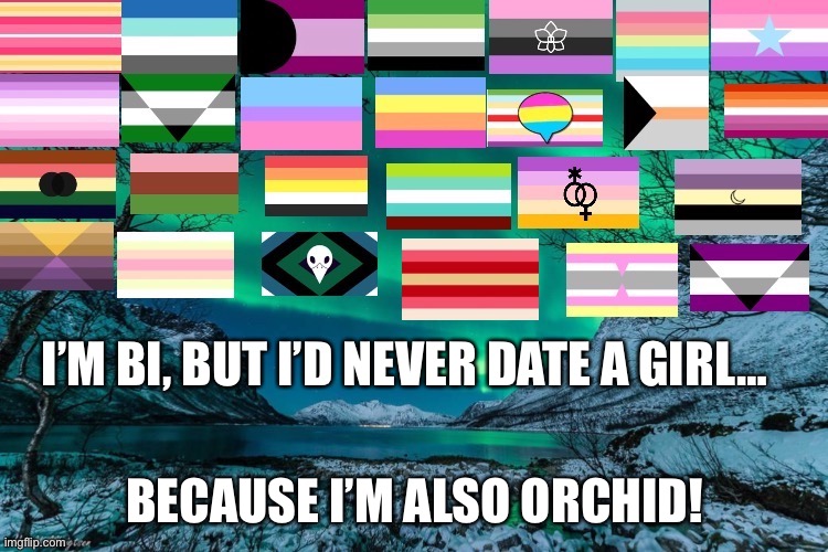 Had us in the first half, not gonna lie | I’M BI, BUT I’D NEVER DATE A GIRL…; BECAUSE I’M ALSO ORCHID! | image tagged in northern lights announcement | made w/ Imgflip meme maker