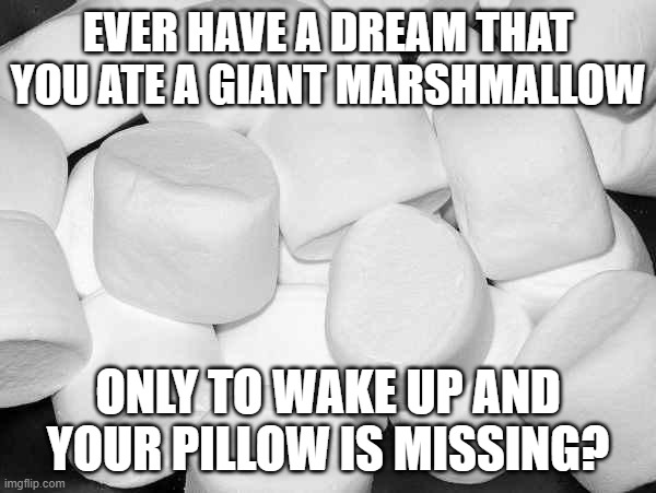 Marshmallow | EVER HAVE A DREAM THAT YOU ATE A GIANT MARSHMALLOW; ONLY TO WAKE UP AND YOUR PILLOW IS MISSING? | image tagged in marshmallow | made w/ Imgflip meme maker