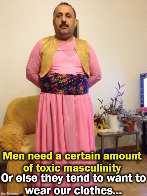 Men need a certain amount 
of toxic masculinity Or else they tend to want to
wear our clothes... | made w/ Imgflip meme maker