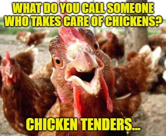 Chicken | WHAT DO YOU CALL SOMEONE WHO TAKES CARE OF CHICKENS? CHICKEN TENDERS... | image tagged in chicken | made w/ Imgflip meme maker