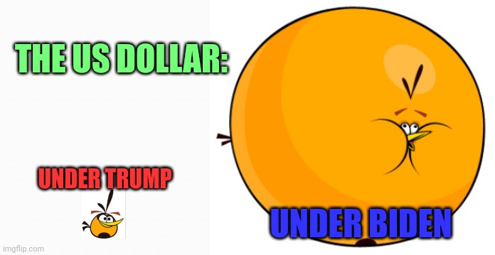 Inflation | THE US DOLLAR:; UNDER TRUMP; UNDER BIDEN | image tagged in white box,biden,trump,dollar,inflation | made w/ Imgflip meme maker