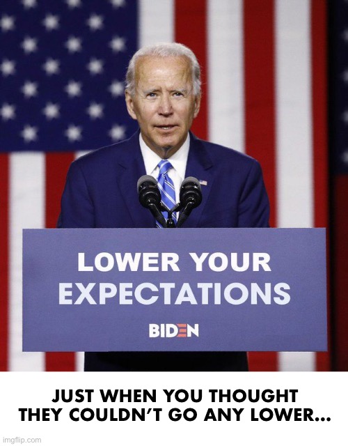 Thanks WaPo! | JUST WHEN YOU THOUGHT THEY COULDN’T GO ANY LOWER… | image tagged in joe lower | made w/ Imgflip meme maker