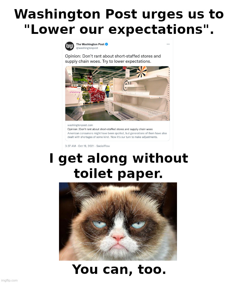 Washington Post Urges Us To "Lower Our Expectations". | image tagged in washington post,toilet paper,grumpy cat,emptyshelvesjoe | made w/ Imgflip meme maker
