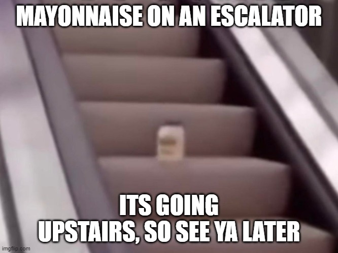 Mayonnaise On An Escalator | MAYONNAISE ON AN ESCALATOR ITS GOING UPSTAIRS, SO SEE YA LATER | image tagged in mayonnaise on an escalator | made w/ Imgflip meme maker