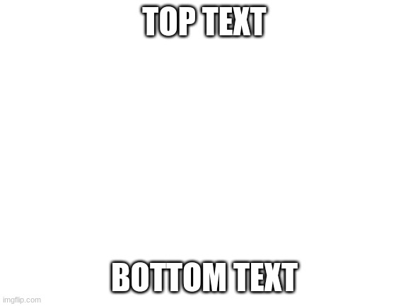 Blank White Template |  TOP TEXT; BOTTOM TEXT | image tagged in blank white template | made w/ Imgflip meme maker