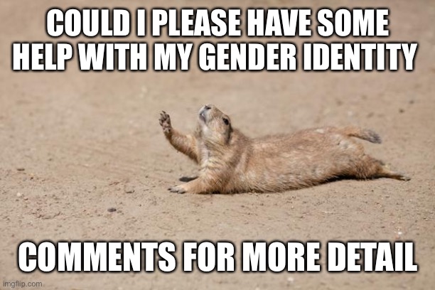 Halp | COULD I PLEASE HAVE SOME HELP WITH MY GENDER IDENTITY; COMMENTS FOR MORE DETAIL | image tagged in desperately seeking help | made w/ Imgflip meme maker