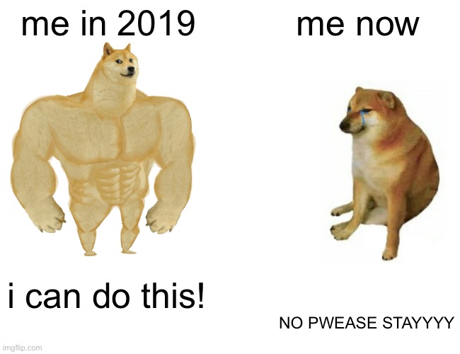 bro... | me in 2019; me now; i can do this! NO PWEASE STAYYYY | image tagged in memes,buff doge vs cheems | made w/ Imgflip meme maker