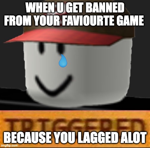 Roblox Triggered |  WHEN U GET BANNED FROM YOUR FAVIOURTE GAME; BECAUSE YOU LAGGED ALOT | image tagged in roblox triggered | made w/ Imgflip meme maker