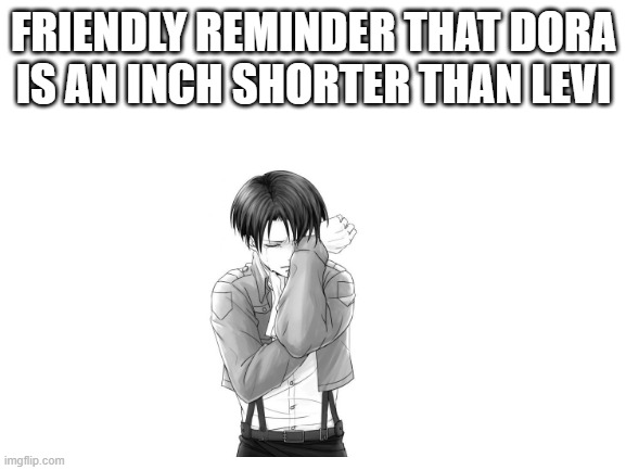 yes | FRIENDLY REMINDER THAT DORA IS AN INCH SHORTER THAN LEVI | image tagged in blank white template | made w/ Imgflip meme maker