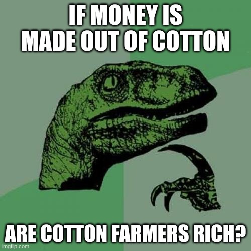 Philosoraptor | IF MONEY IS MADE OUT OF COTTON; ARE COTTON FARMERS RICH? | image tagged in memes,philosoraptor | made w/ Imgflip meme maker