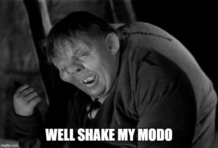 Quasimodo | WELL SHAKE MY MODO | image tagged in quasimodo | made w/ Imgflip meme maker